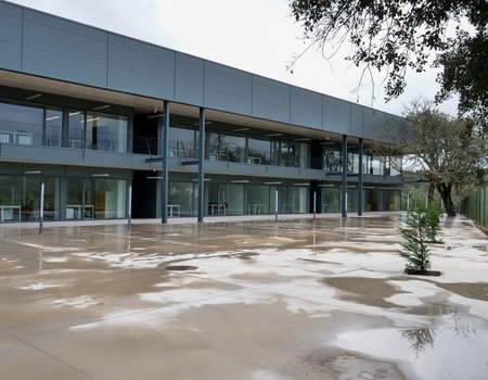 Politécnico de Portalegre fortalece cooperação com centros de investigação da Bahia