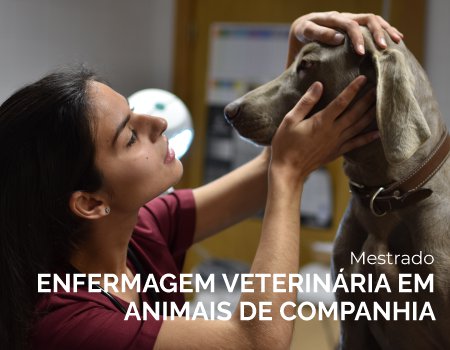 Mestrado em Enfermagem Veterinária tem início no Politécnico de Portalegre