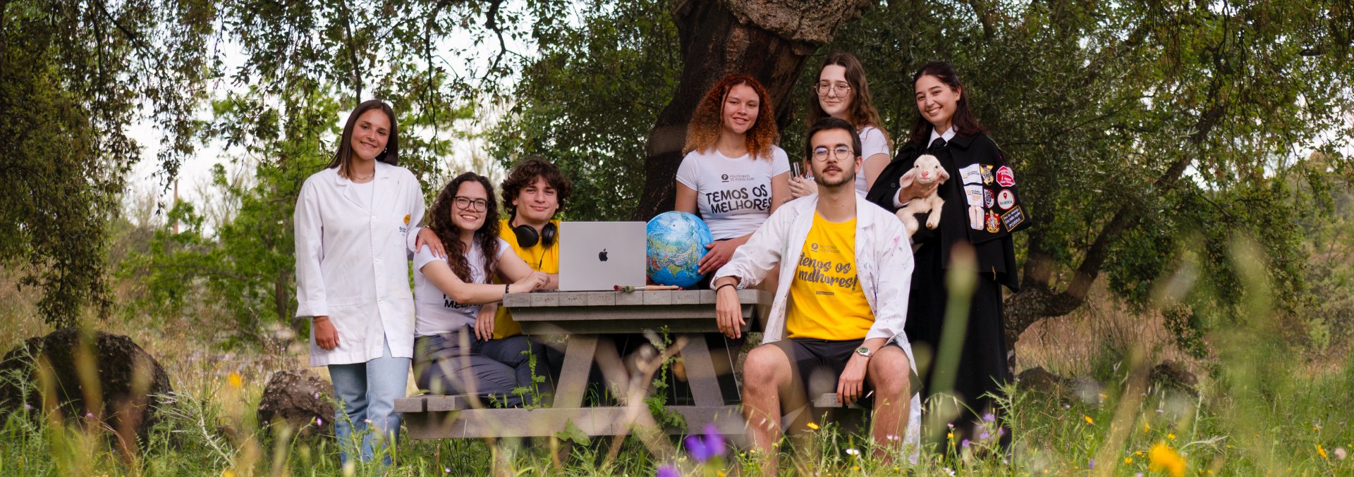 Oferta formativa, , Conhece aqui os nossos cursos